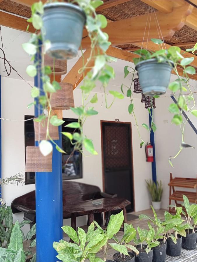 Foxtail Guesthouse Siargao 제너럴 루나 외부 사진