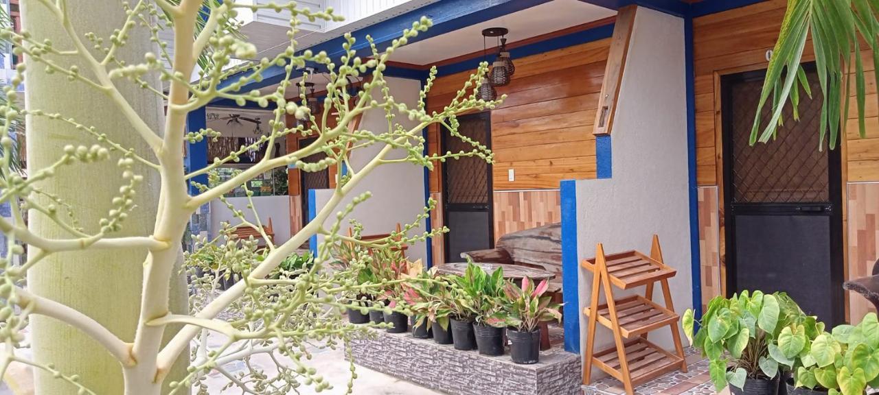 Foxtail Guesthouse Siargao 제너럴 루나 외부 사진